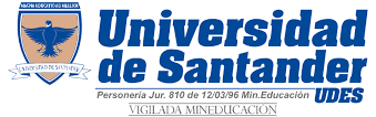 Portafolio